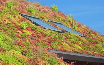 South Newbarns living roof systems