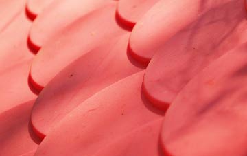 South Newbarns plastic roof costs